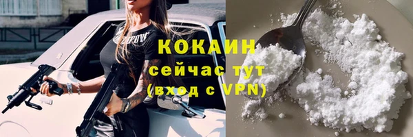гидра Нея