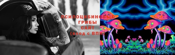 тгк Нефтекумск