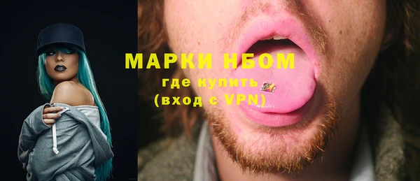 гидра Нея
