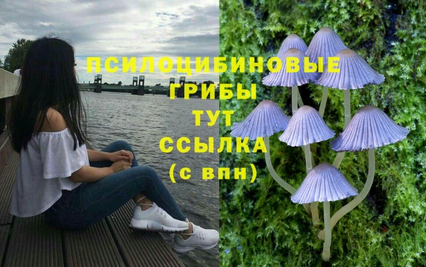гидра Нея
